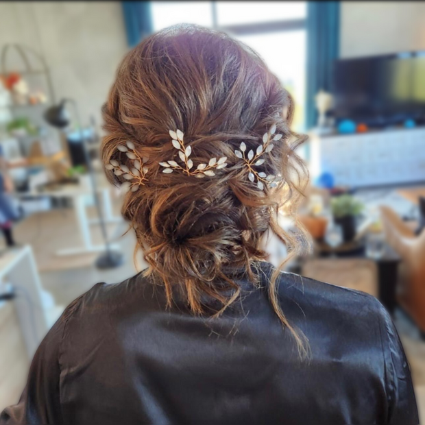 Crystal Wedding hair pins - Christina